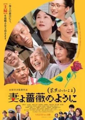 فيلم What a Wonderful Family 3 My Wife My Life 2018 مترجم HD